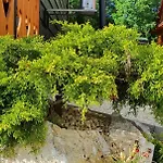 펜션 Drevenicka U Jezka