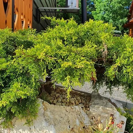 Holiday home Drevenicka U Jezka