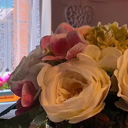 Drevenicka U Jezka Zdiar