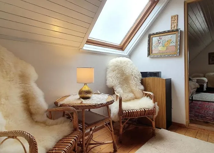 Drevenicka U Jezka בית נופש