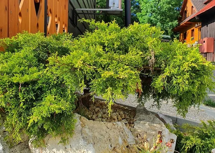 בית נופש Drevenicka U Jezka